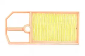 Воздушный фильтр BSG купить